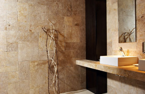 3   crema antares 002 