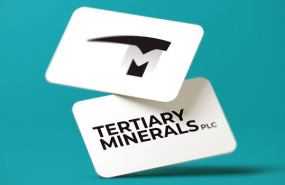 dl terciary minerals plc objetivo materiales básicos recursos básicos metales industriales y minería minería en general logo 20230116