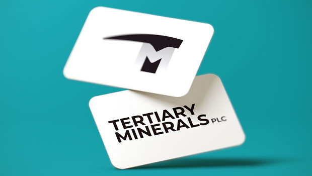 dl tertiary minerals plc aim basic materials basic resources industrial metals and mining general mining logo 20230116