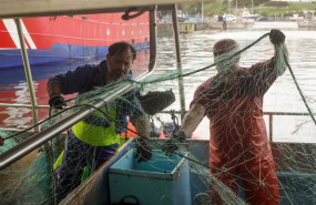 ep archivo   pescadores descargan el pescado y el marisco capturado hoy en el puerto de burela a 21