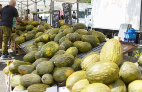 ep archivo   un puesto de melones