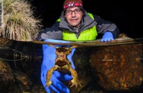 ep investigadoresmncn senalancambio climatico afectalos anfibios