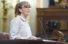 ep la portavoz parlamentaria adjunta del psoe en el congreso susana ros