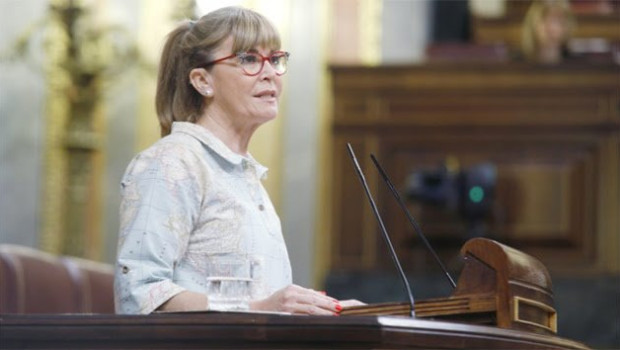 ep la portavoz parlamentaria adjunta del psoe en el congreso susana ros