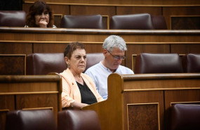 ep los diputados de eh bildu mertxe aizpurua y oskar matute durante un pleno en el congreso de los