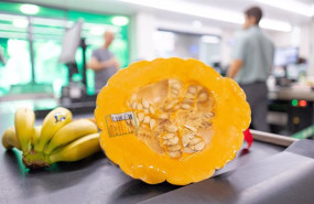 ep mercadona comprara 200 toneladas de calabaza de asar cultivada en valencia