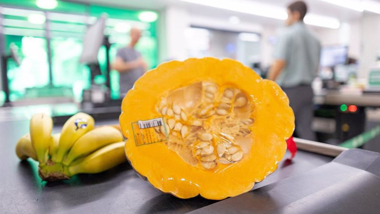 ep mercadona comprara 200 toneladas de calabaza de asar cultivada en valencia ep mercadona comprara 200 toneladas de calabaza de asar cultivada en valencia