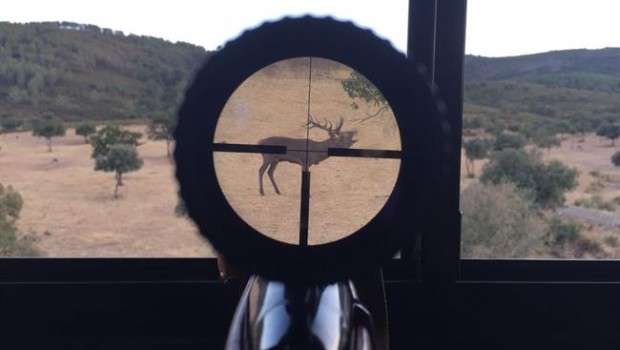 ep venadola mirillaun arma a puntoser disparado