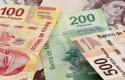 peso mexicano port peso mexicano port