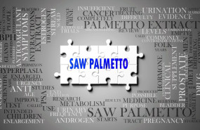 saw palmetto 9433 1