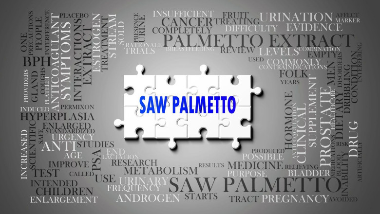 saw palmetto 9433 1