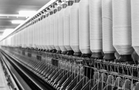 123 2023 05 22t085240075 123 2023 05 22t085240075