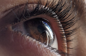 captura de pantalla 2024 05 27 a les 94651