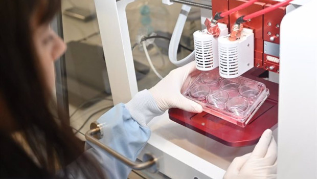 ep archivo   agricultura  ania investiga las tecnologias para producir carne cultivada a escala
