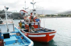 ep archivo   canarias reitera al estado que permita el traspaso entre campanas de la cuota sobrante