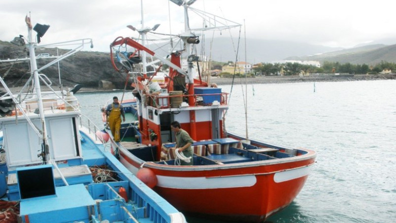 Archivo - Canarias reitera al Estado que permita el traspaso entre campañas de la cuota sobrante de atún rojo | CONSEJERÍA DE AGRICULTURA, GANADERÍA Y PESCA ep archivo canarias reitera al estado que permita el traspaso entre campanas de la cuota sobrante