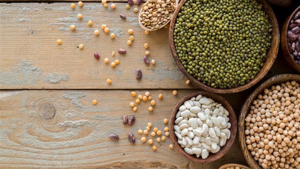 ep archivo   el sector de las legumbres aumenta la produccion de 88 a 97 millones de toneladas entre