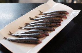 ep archivo   plato de anchoas servido en un restaurante durante la campana de pesca de la anchoa a