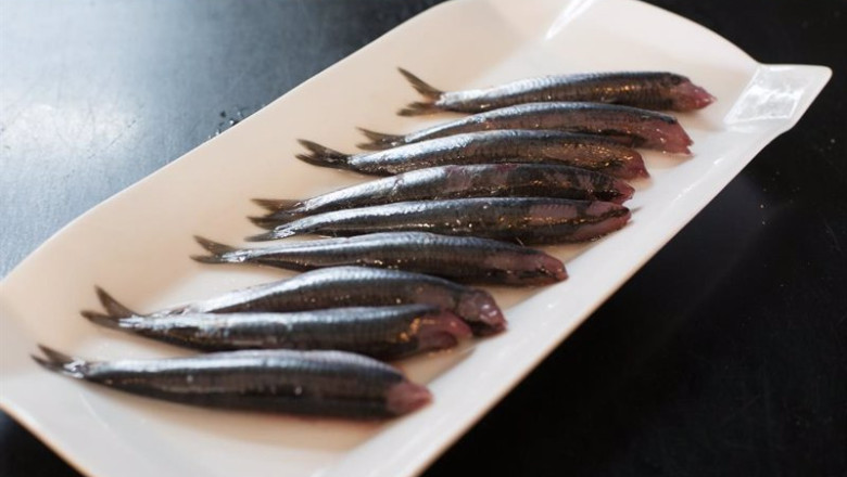 ep archivo plato de anchoas servido en un restaurante durante la campana de pesca de la anchoa a ep archivo plato de anchoas servido en un restaurante durante la campana de pesca de la anchoa a