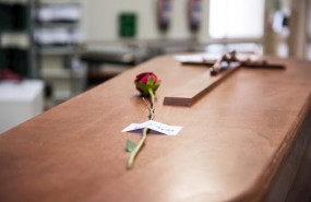 ep detalle de la rosa que los servicios funerarios de madrid colocan sobre cada feretro en la sala