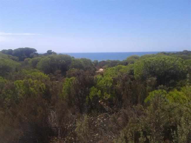 ep espaciodonana