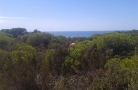 ep espaciodonana