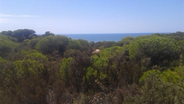 ep espaciodonana