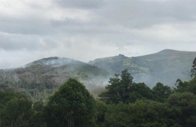 ep incendio forestalsan pedroparedes valdes