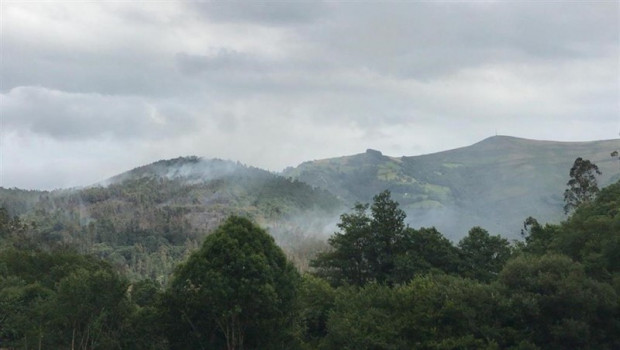 ep incendio forestalsan pedroparedes valdes
