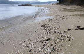 ep marisco en la playa de testal en noia tras el paso de la borrasca domingos