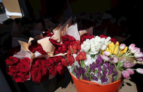 ep rosas y tulipanes que la fundacion madrina envia para regalar a los sanitarios y para decorar el