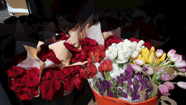 ep rosas y tulipanes que la fundacion madrina envia para regalar a los sanitarios y para decorar el