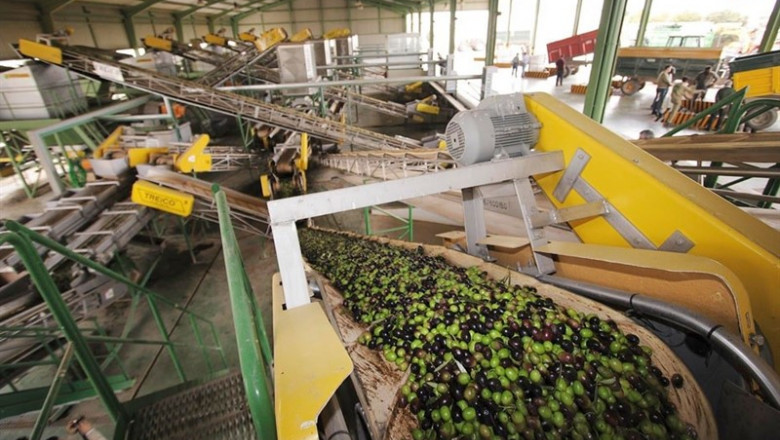 Una almazara en pleno proceso de producción del aceite de oliva. | JUNTA DE ANDALUCÍA - Archivo ep una almazara en pleno proceso de produccion del aceite de oliva