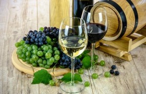ep vino bodega