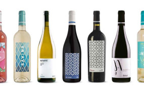ep vinos de la bodega terramoll