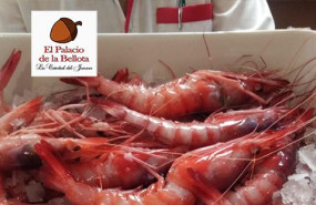 gamba roja gandia