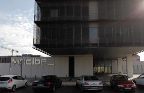sede incibe on