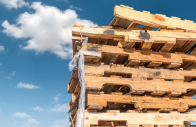 123 2023 05 25t094546230 123 2023 05 25t094546230