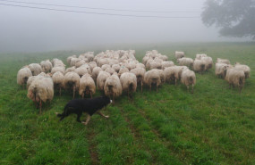 1585574098 3 bizkaigane7