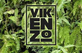 1595593868 jardines verticales beneficios inspiraci n por vikenzo nature 1595593868 jardines verticales beneficios inspiraci n por vikenzo nature