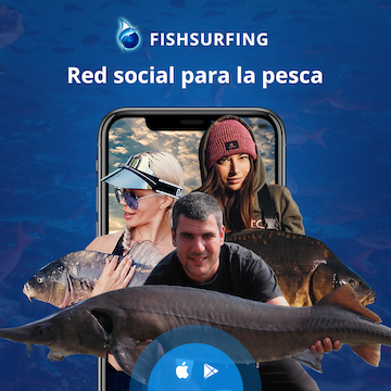 1601644245 fishrekl girls 1080x1080 esp