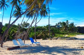 barbados beach resort barbados beach resort