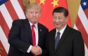 cbtrump xi short11 cbtrump xi short11