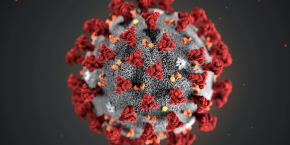 coronavirus 20200322172321
