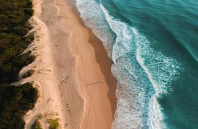 ecocruising1 ecocruising1