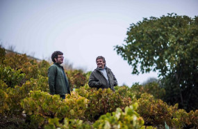 ep alvaro palacios y ricardo perez en el vinedo de sus bodegas