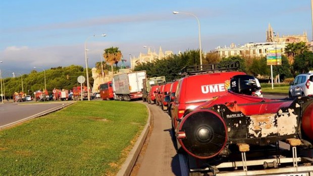 ep efectivosla umepaseo maritimopalma