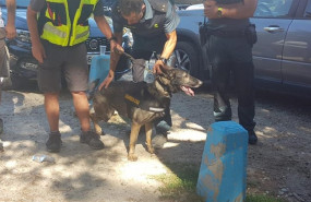 ep el sargento de la guardia civil y su perro xena a la que toca que hallaron el cadaver de blanca