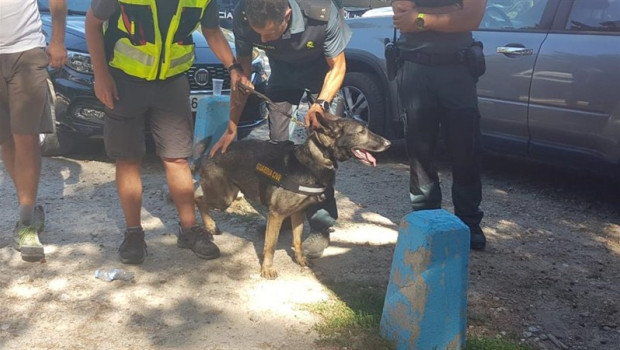 ep el sargento de la guardia civil y su perro xena a la que toca que hallaron el cadaver de blanca