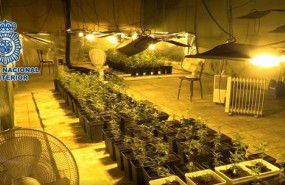 ep imagenesla policiala droga hallada